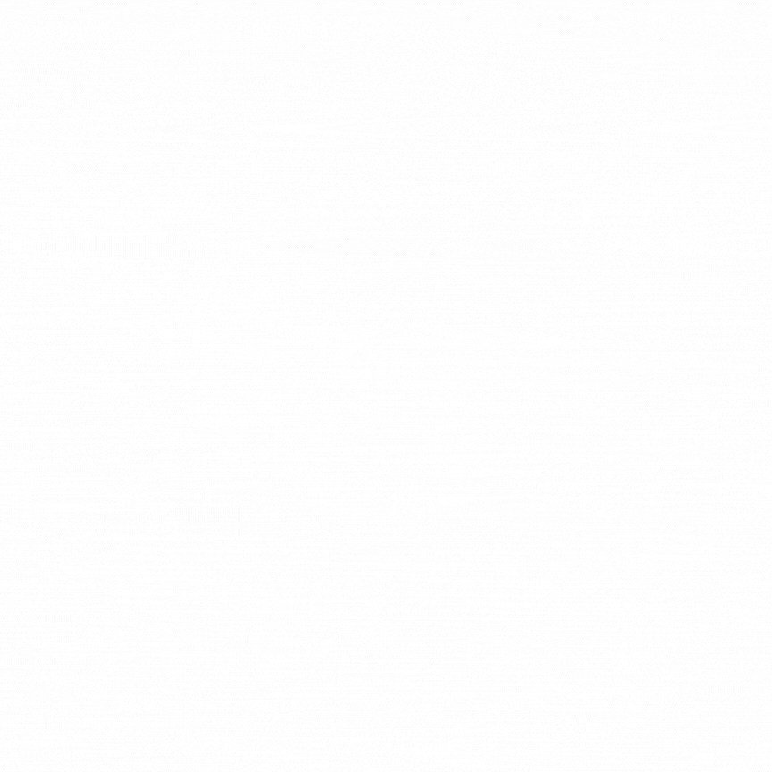 MentallyPro concepto Animación que describe el concepto de Mentallypro