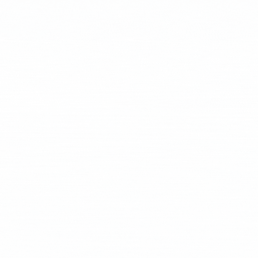 Animación que describe el concepto de Mentallypro